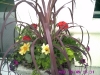 Container garden at office