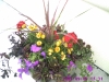 closeup of container garden at office