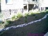 prarie landscaping for school 4