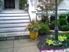 container garden in front of white house 2