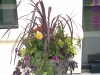 garden container 13