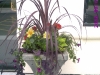 Garden Container 2