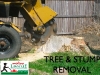 stump removal-001