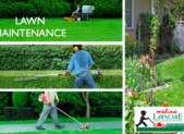 Lawn Maintenance