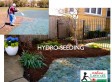 Hydroseeding