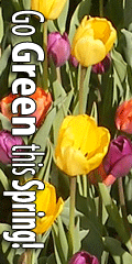 advert