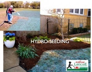 Read more about the article Seeding vs Hydroseeding