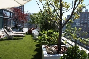 Artificial Grass on Rooftop