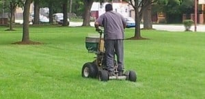 Lawn Maintenance and Mowing