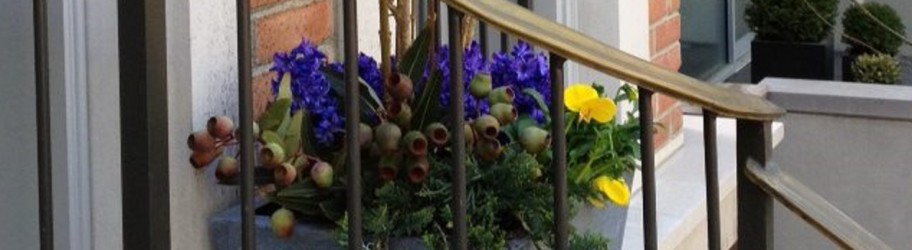 Why You Should Include a Container Garden Why Chicago Lawn Care Should Include a Container Garden