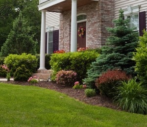 Chicago Landscaper Can Make Your Yard Come To Life