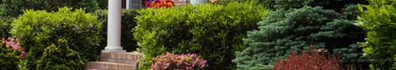 Chicago Landscaper Can Make Your Yard Come To Life Chicago Landscaper Can Make Your Yard Come To Life