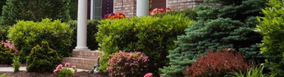 Chicago Landscaper Can Make Your Yard Come To Life Chicago Landscaper Can Make Your Yard Come To Life