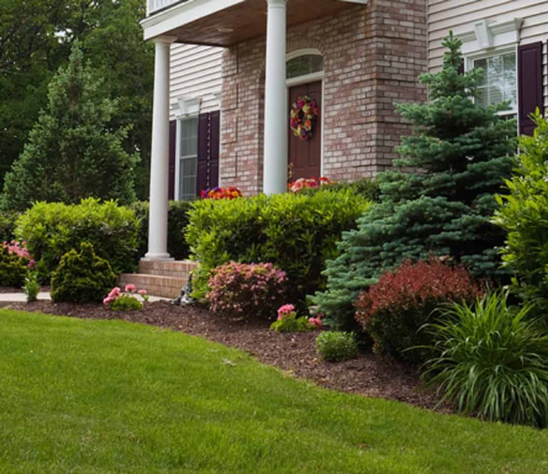 Read more about the article Chicago Landscaper Can Make Your Yard Come To Life